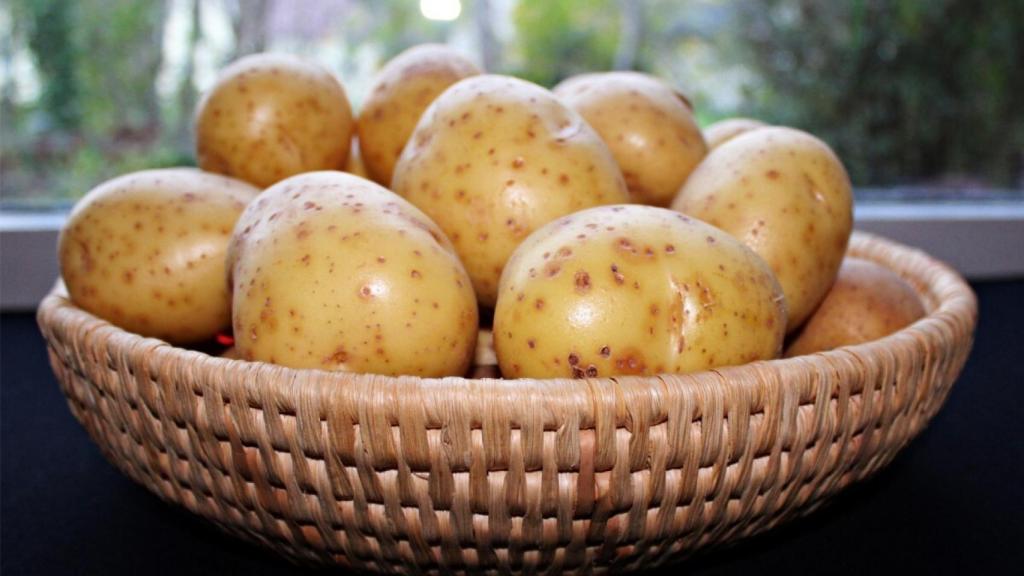 Una cesta de patatas recién recolectadas