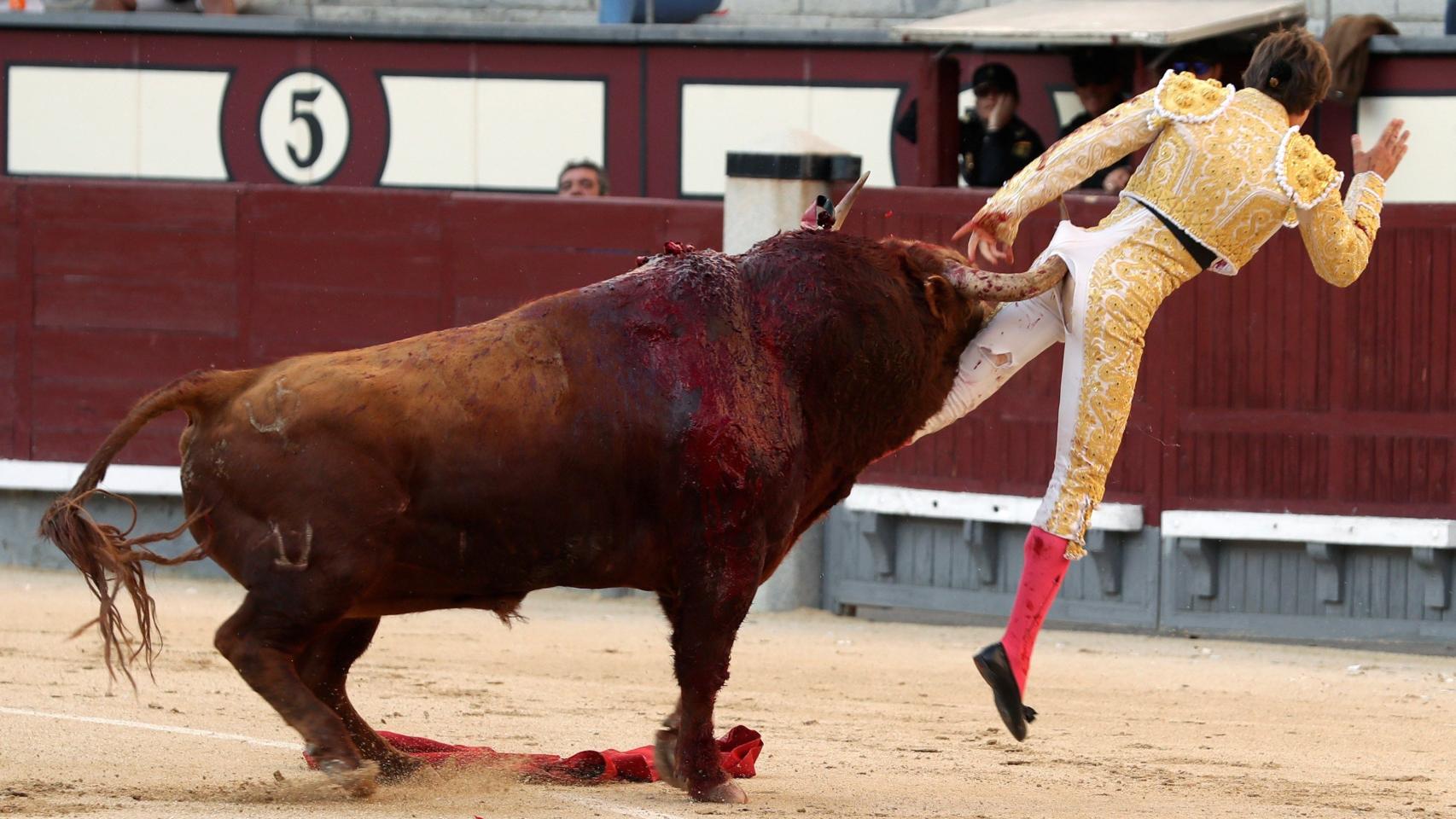 Cornada a Juan Leal de 25 centímetros en la región perianal