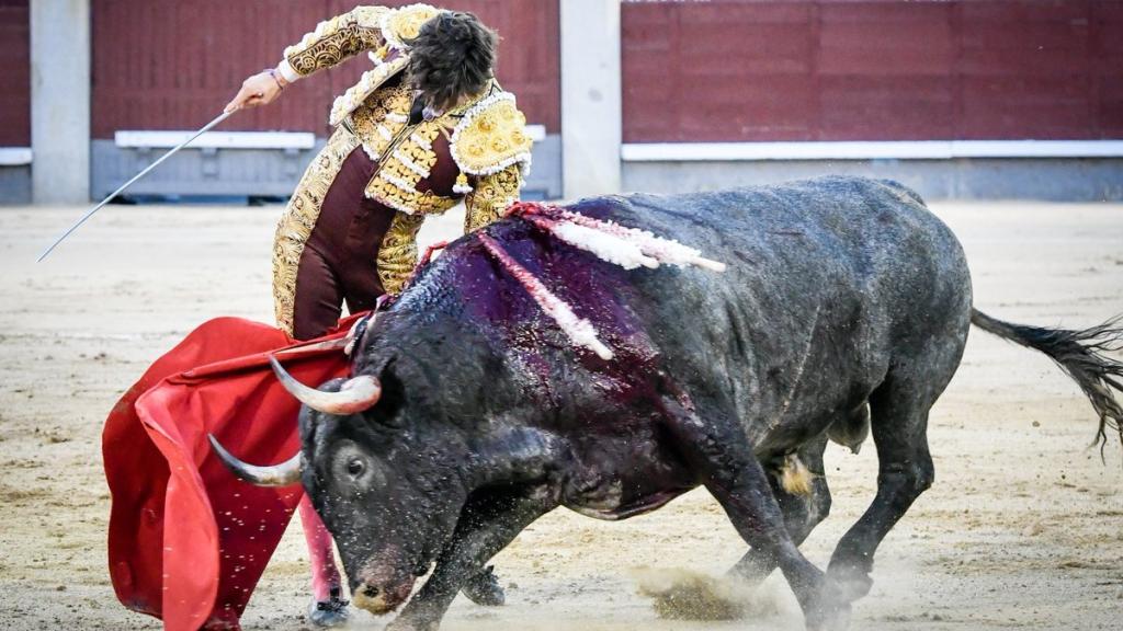 Trincherilla de Roca Rey a 'Madroñito', un gran toro de Adolfo