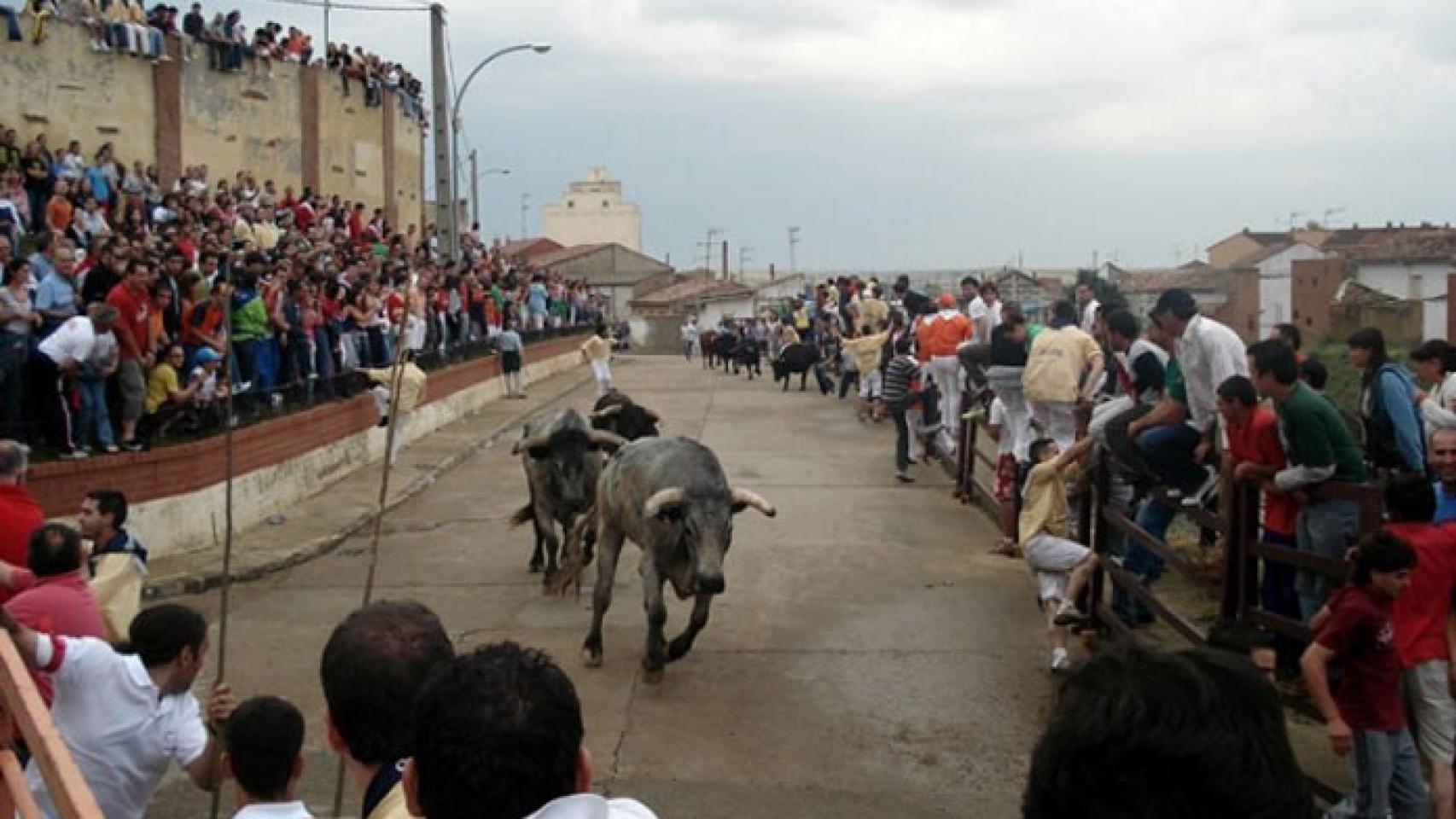 Castilla y León