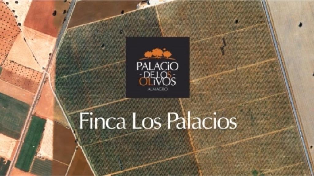 Finca Los Palacios desde el aire