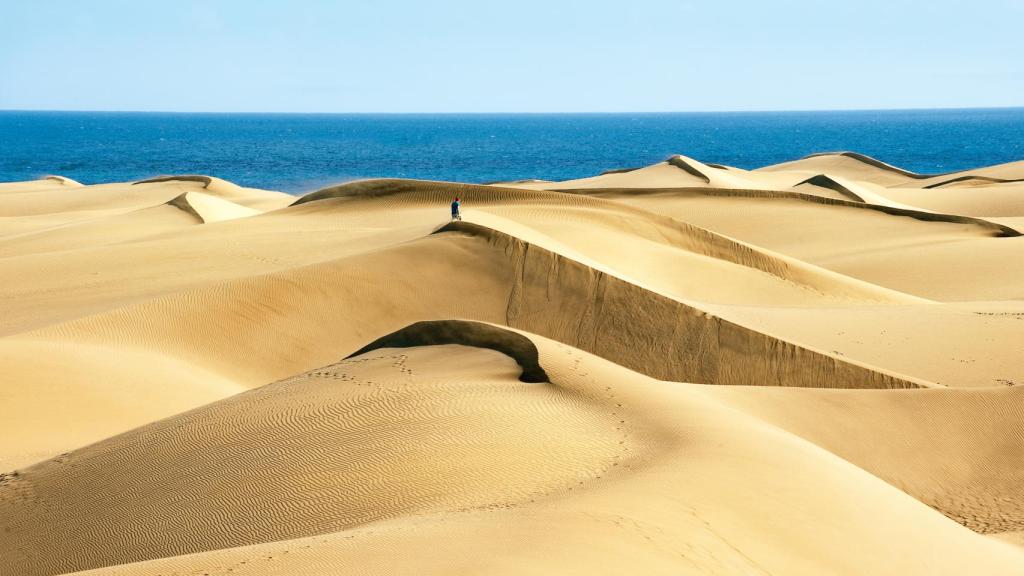 Dunas de una playa en Gran Canaria.