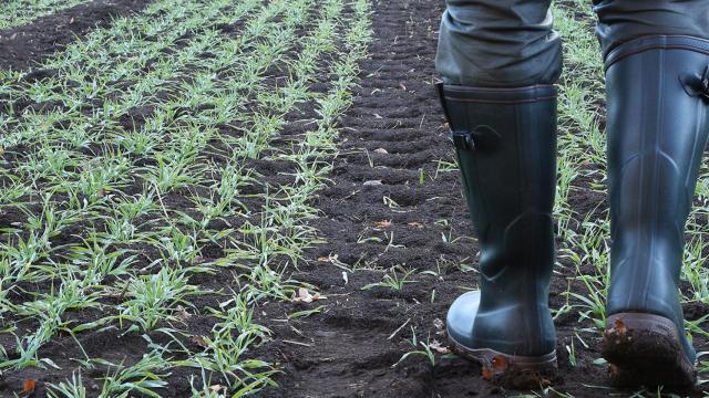 Un agricultor pasea por una explotación agraria.