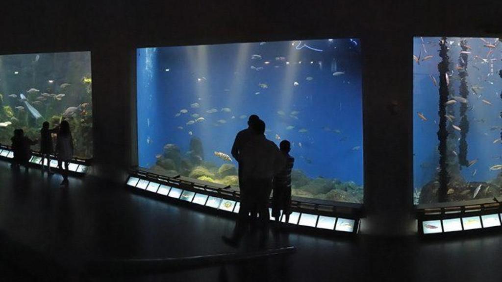 Aquarium Finisterrae