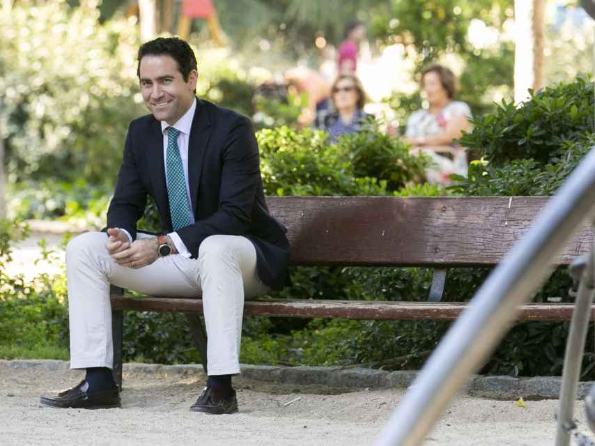 Teodoro García Egea, secretario general del PP, en el banco de El retiro en el que Pablo Casado decidió con él presentar su candidatura a liderar el PP.