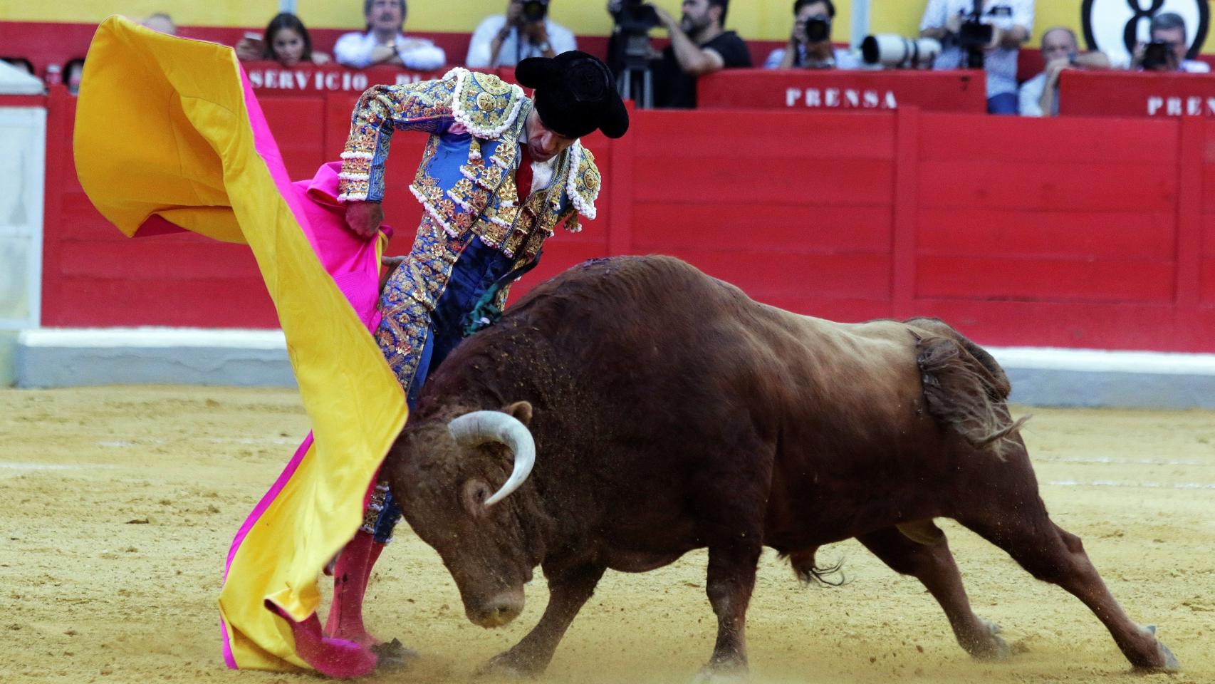 El diestro José Tomás da un pase con el capote en la Feria del Corpus en la plaza de toros de Granada.