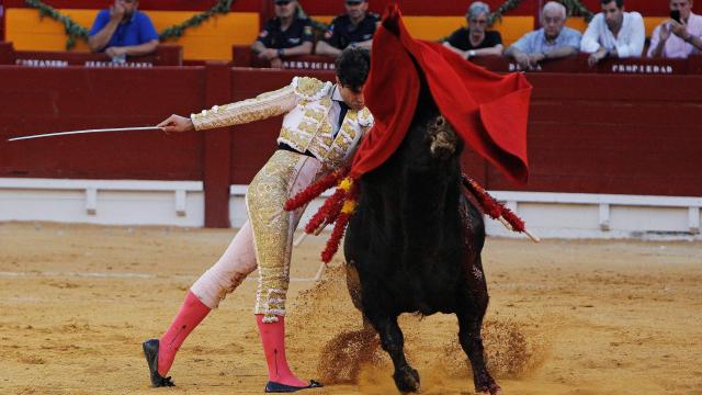 La oreja de Toñete en Alicante confirma su progresión