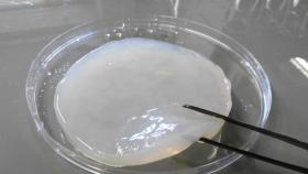 Investigadores vascos crean un material capaz de recuperar su forma original tras deformarse