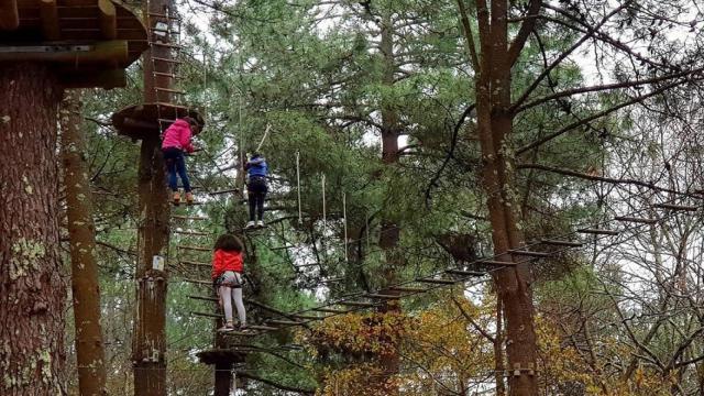 ¡Atrévete con la tirolina!: Así son los parques de aventura en Galicia