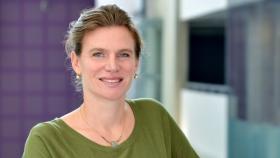 mariana mazzucato