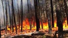 Imagen de archivo de un incendio forestal en el Valle del Tiétar