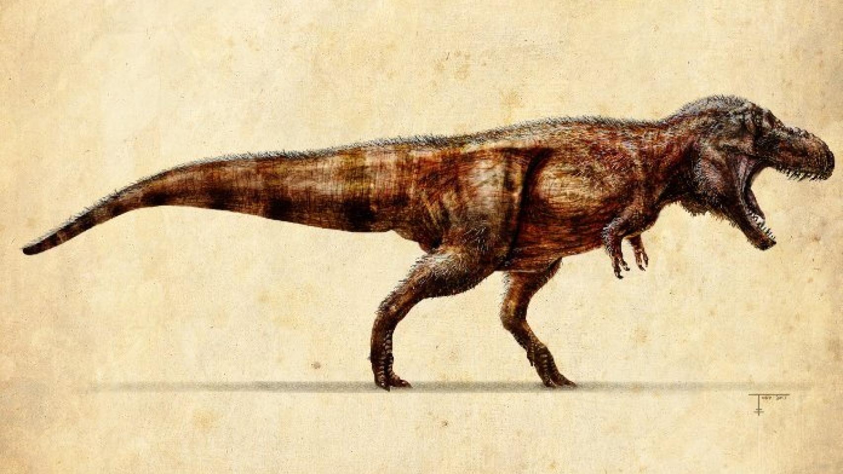 ILUSTRACION DE TIRANOSAURUS