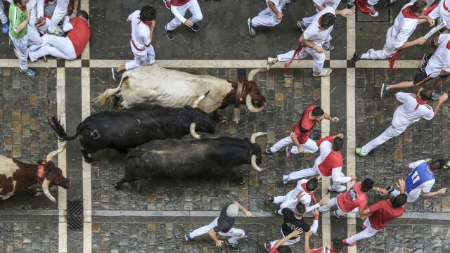 San Fermín, la fiesta por antonomasia