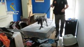 Captura del vídeo facilitado por la Guardia Civil sobre la operación llevaDa a cabo en Cebolla