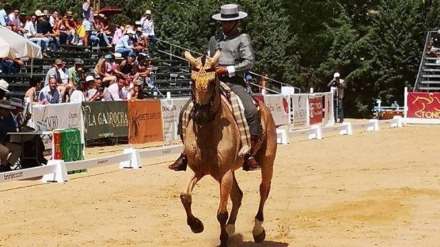 Concurso de doma vaquera