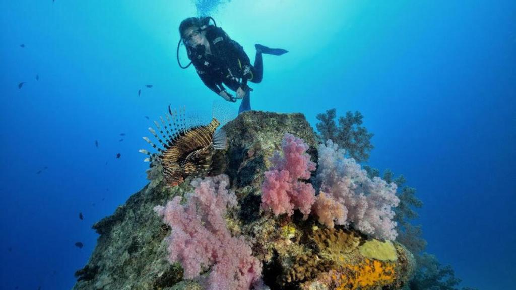 Buceando en Isla Mauricio.