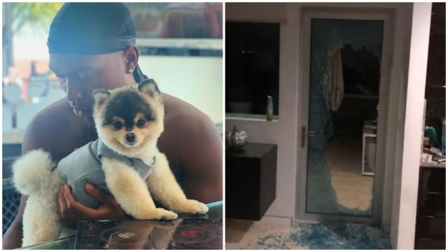 Sturridge denuncia el robo de su perro en su casa