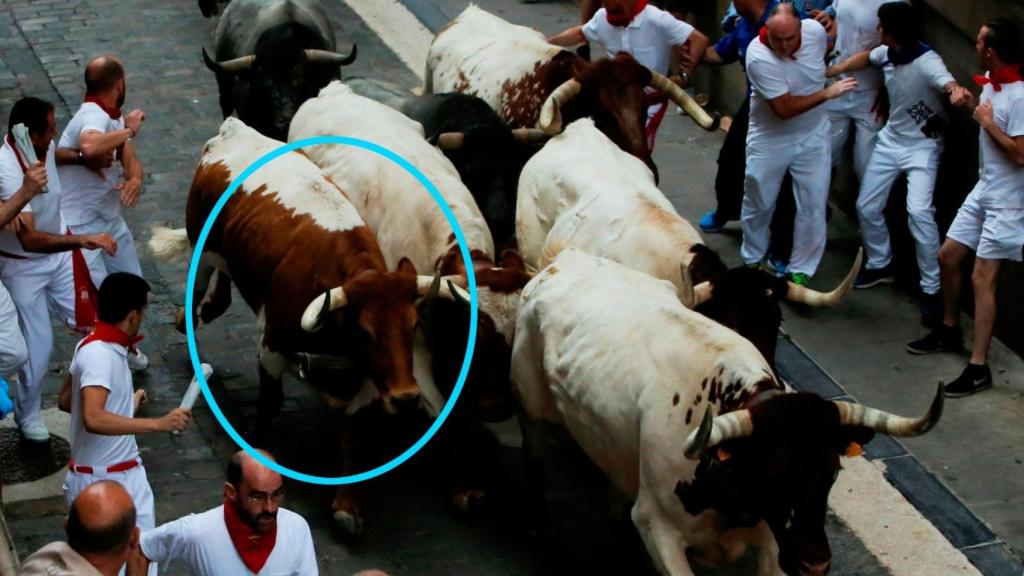 'Messi', durante los Sanfermines.