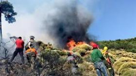 Medios aéreos y terrestres trabajan en un fuego en Sotillo de la Adrada (Ávila).