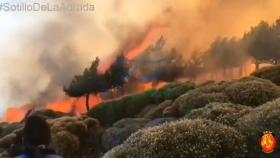 El incendio  en Sotillo (Ávila).