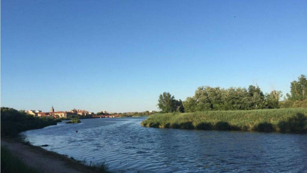 Imagen de archivo del río Tajo a su paso por la localidad toledana de Talavera de la Reina