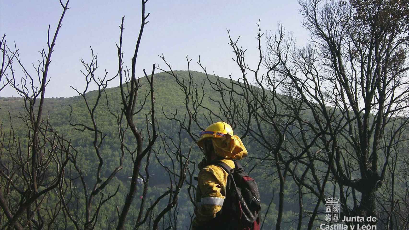 Imagen de un bombero forestal de la Junta de Castilla y León.