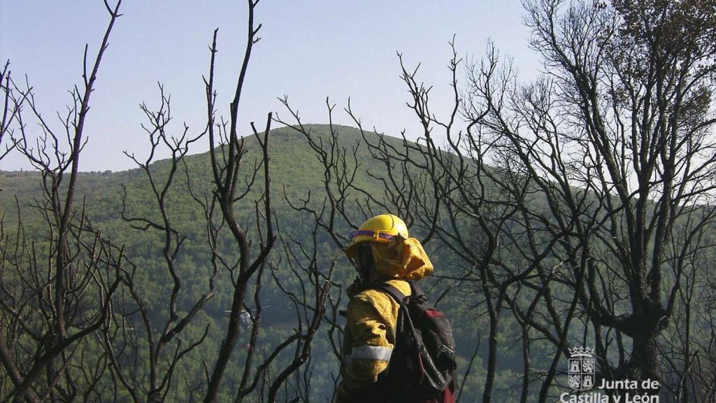 112 bombero forestal incendio