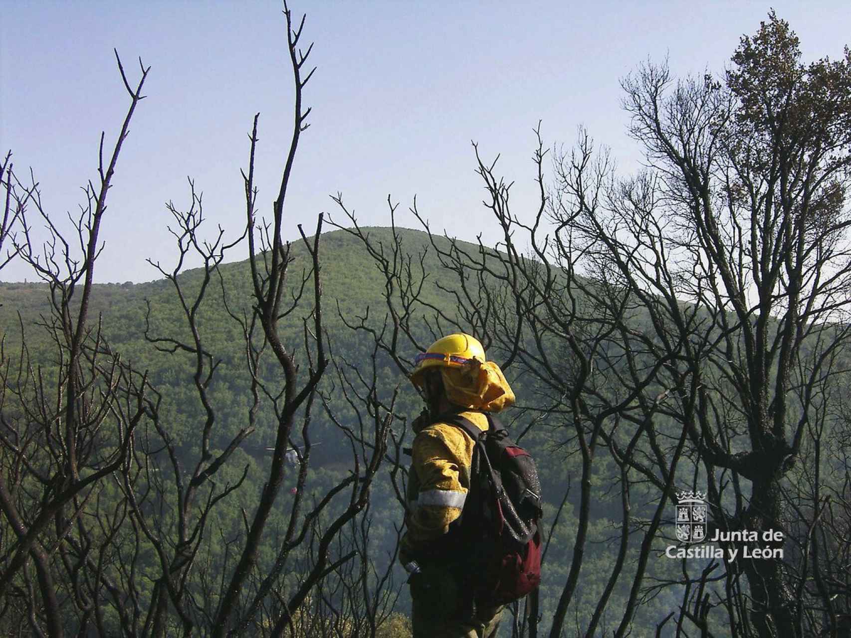 Imagen de un bombero forestal.