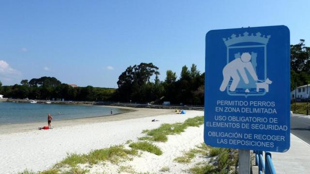 Playa para perros en Ares