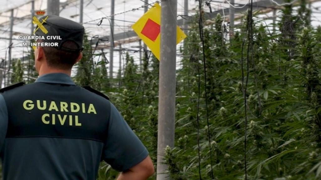 Un guardia civil durante uno de los registros de un invernadero que ha sido intervenido en la segunda fase de la 'Operación Alcantha'.