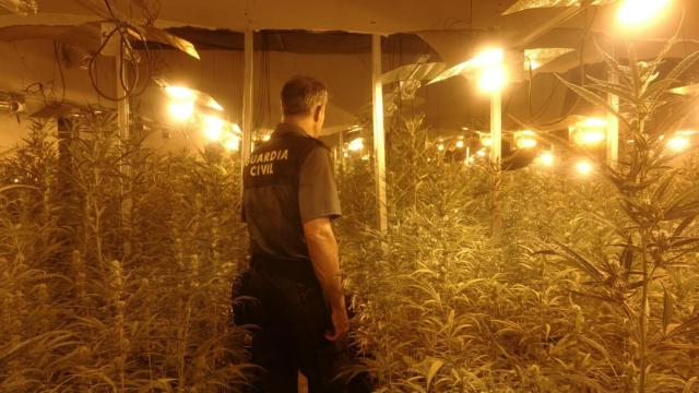 Acuden a un incendio en Ares y descubren una plantación de marihuana