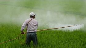 La EFSA analiza cada año la cantidad de pesticidas presente en diversos productos.