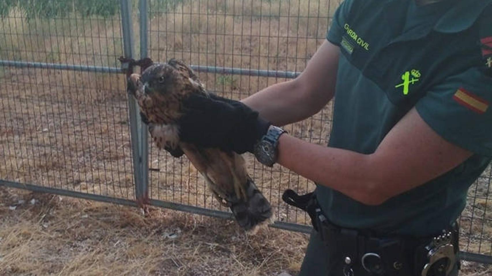 FOTO: Guardia Civil