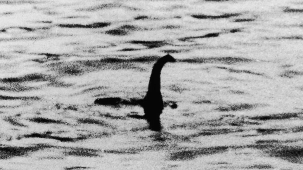 Ni plesiosaurio ni monstruo: Nessie es una anguila.