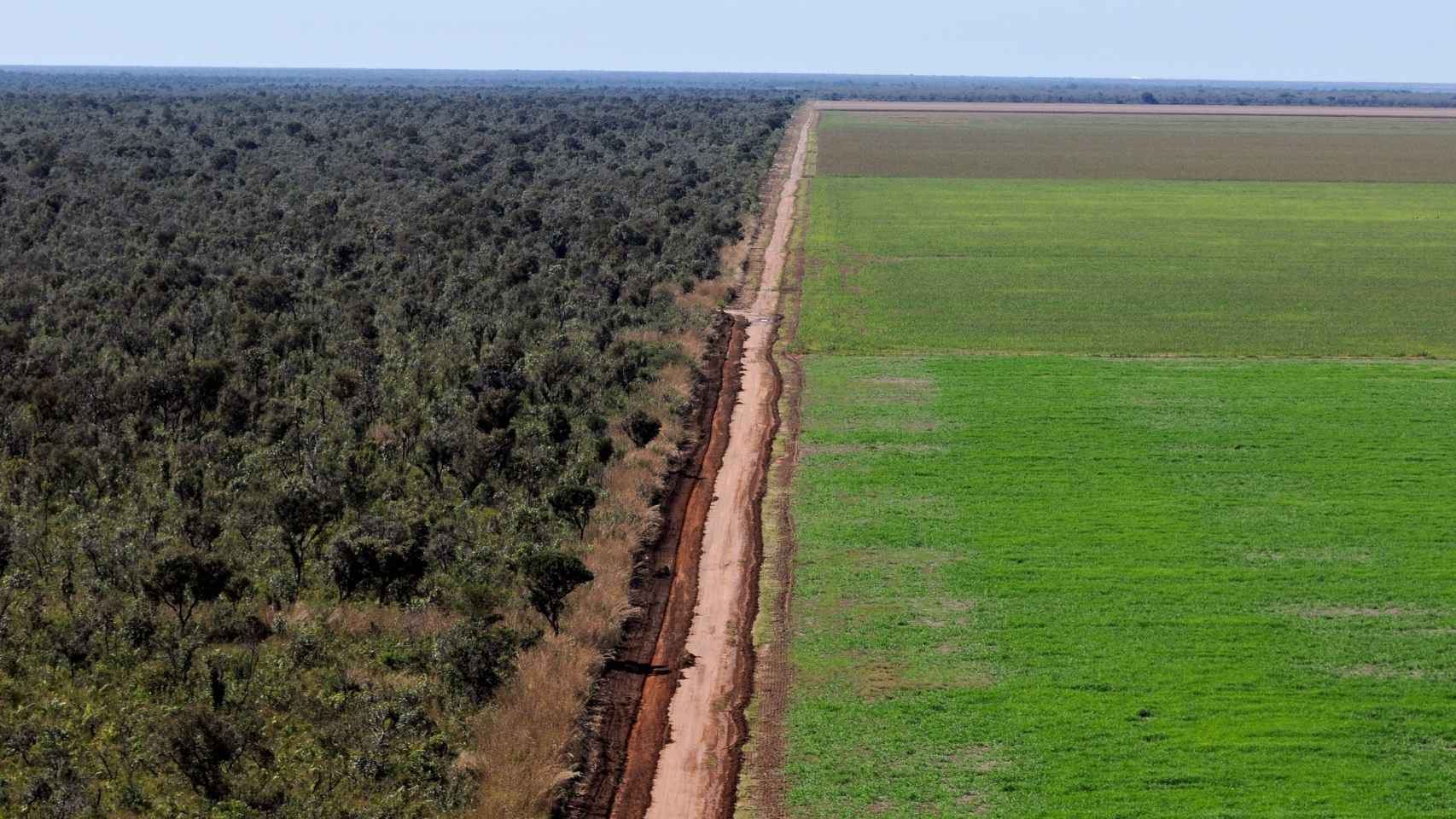Una carretera hace de frontera entre la selva y un cultivo de soja en Ribeiro Gonçalves, Piauí, Brasil.