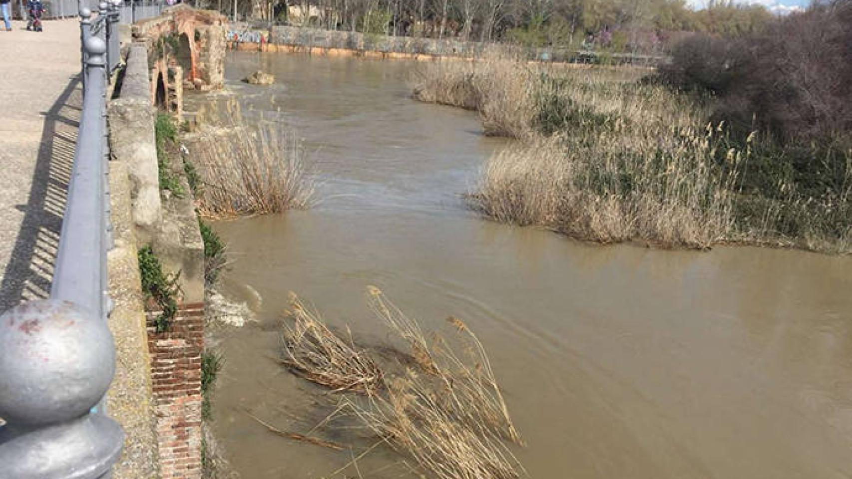 FOTO: El Tajo a su paso por Talavera (E.C.)