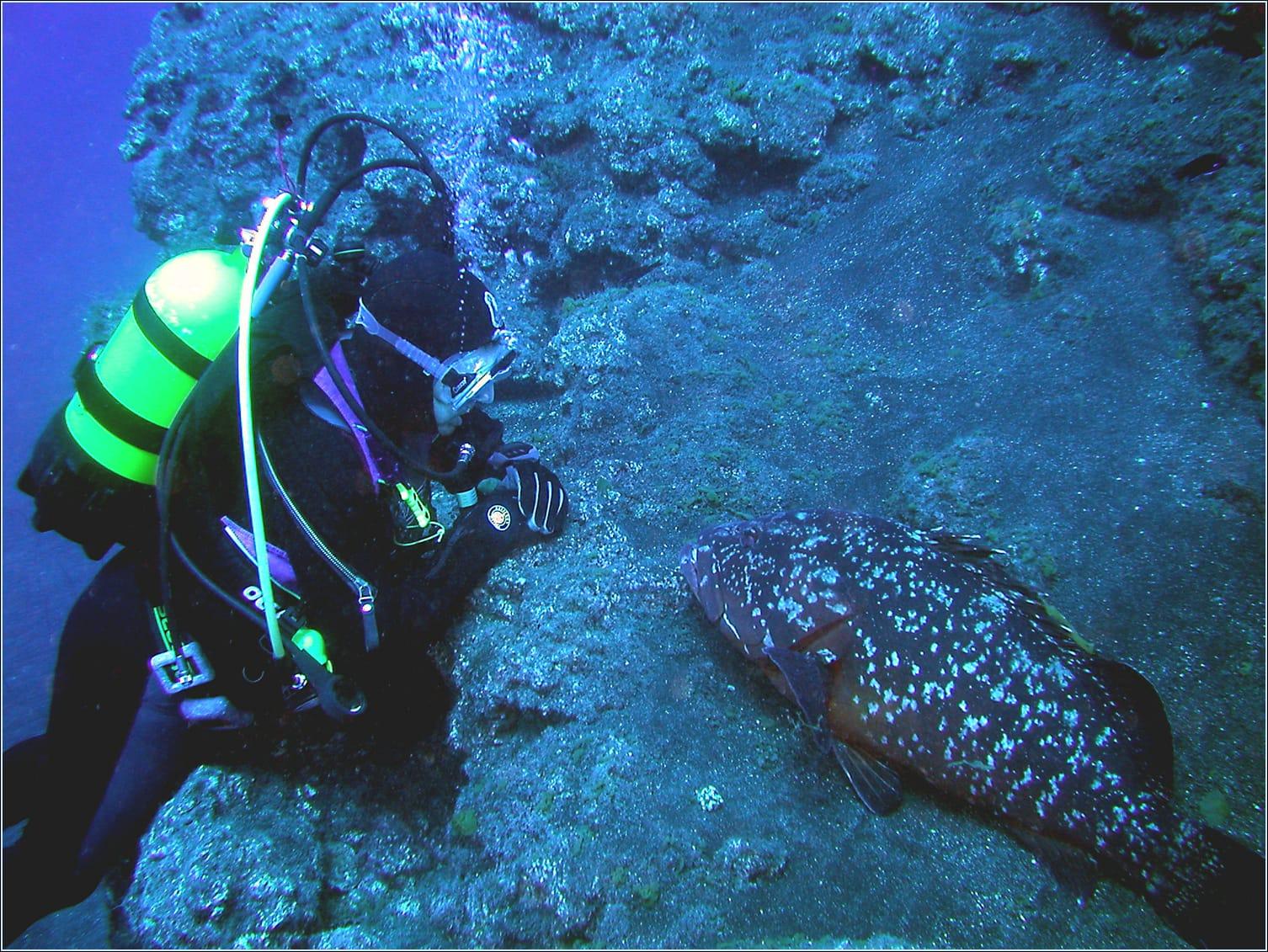 En el buceo el doctor Fojón enlaza sus dos pasiones y vocaciones: la biología y la medicina