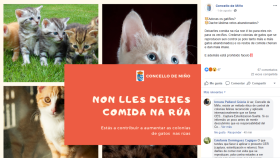 La polémica campaña de Miño que pide matar de hambre a los gatos callejeros