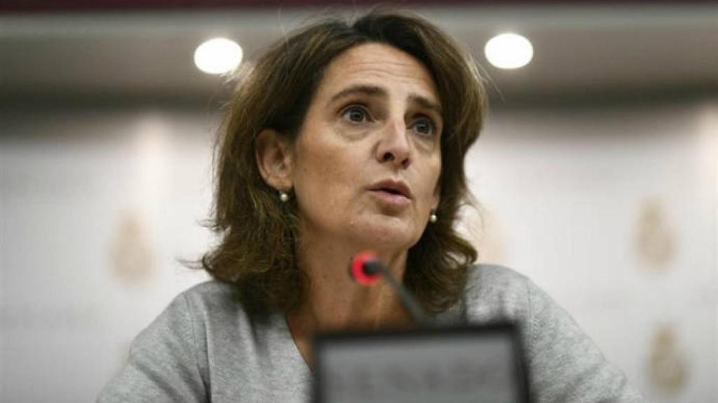 Teresa Ribera, ministra para la Transición Ecológica en funciones