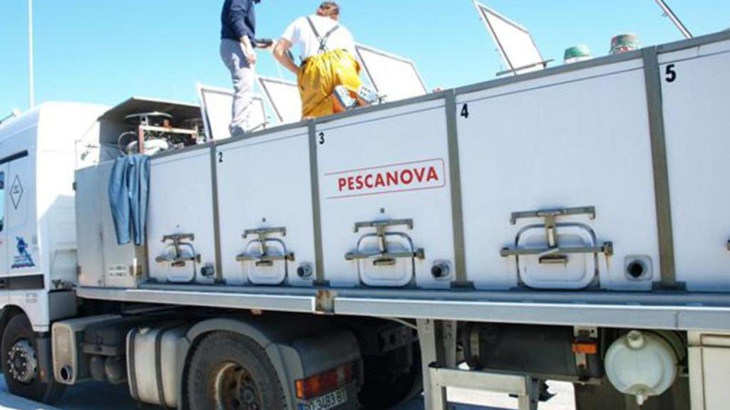 Pescanova ampliará su planta en Sabón para cocer 157 toneladas de marisco al día