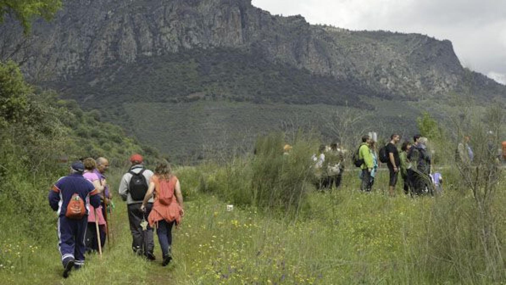 Marcha Hinojosa de Duero Salamanca 2016 (14)