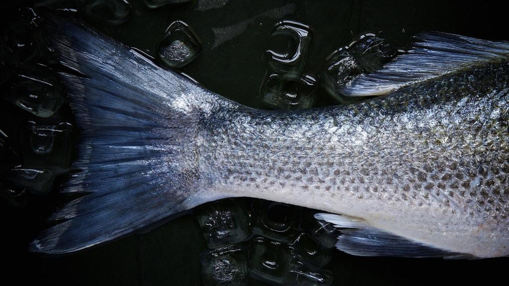 La cola de un pescado expuesta en un escaparate.