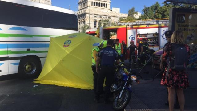 La Policía Municipal se ha hecho cargo de la investigación.