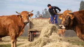 Vegalsa-Eroski apuesta en Galicia por los proveedores de proximidad