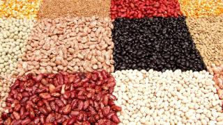 Legumbres de varios tipos ordenadas por colores.