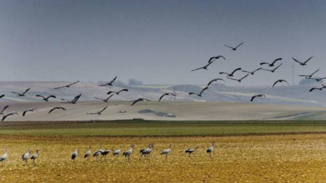 La Laguna del Hito