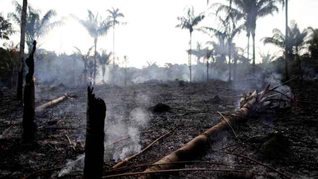 Una zona quemada del Amazonas.