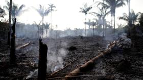 Una zona quemada del Amazonas.