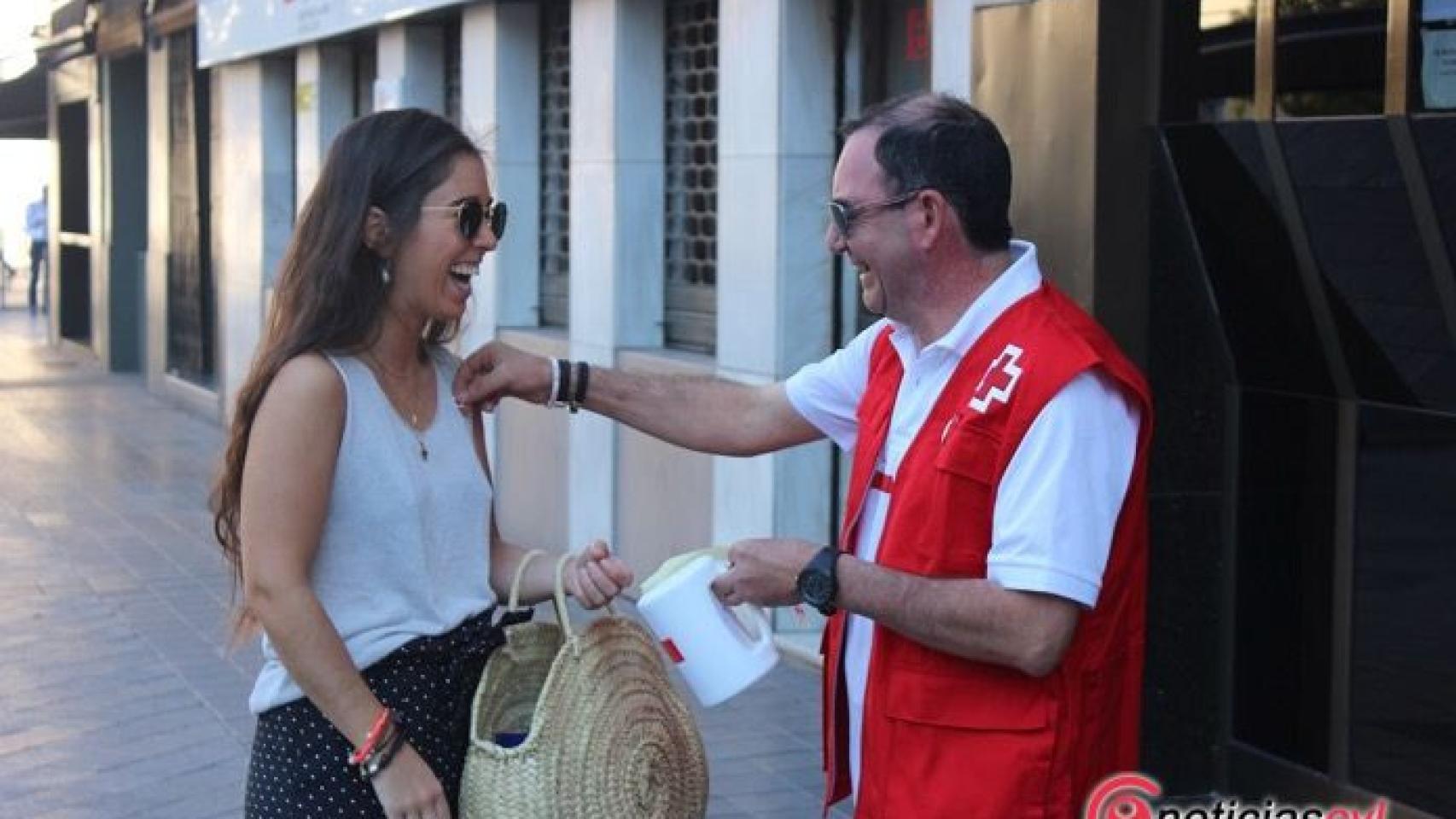 dia banderita cruz roja valladolid 2017 9