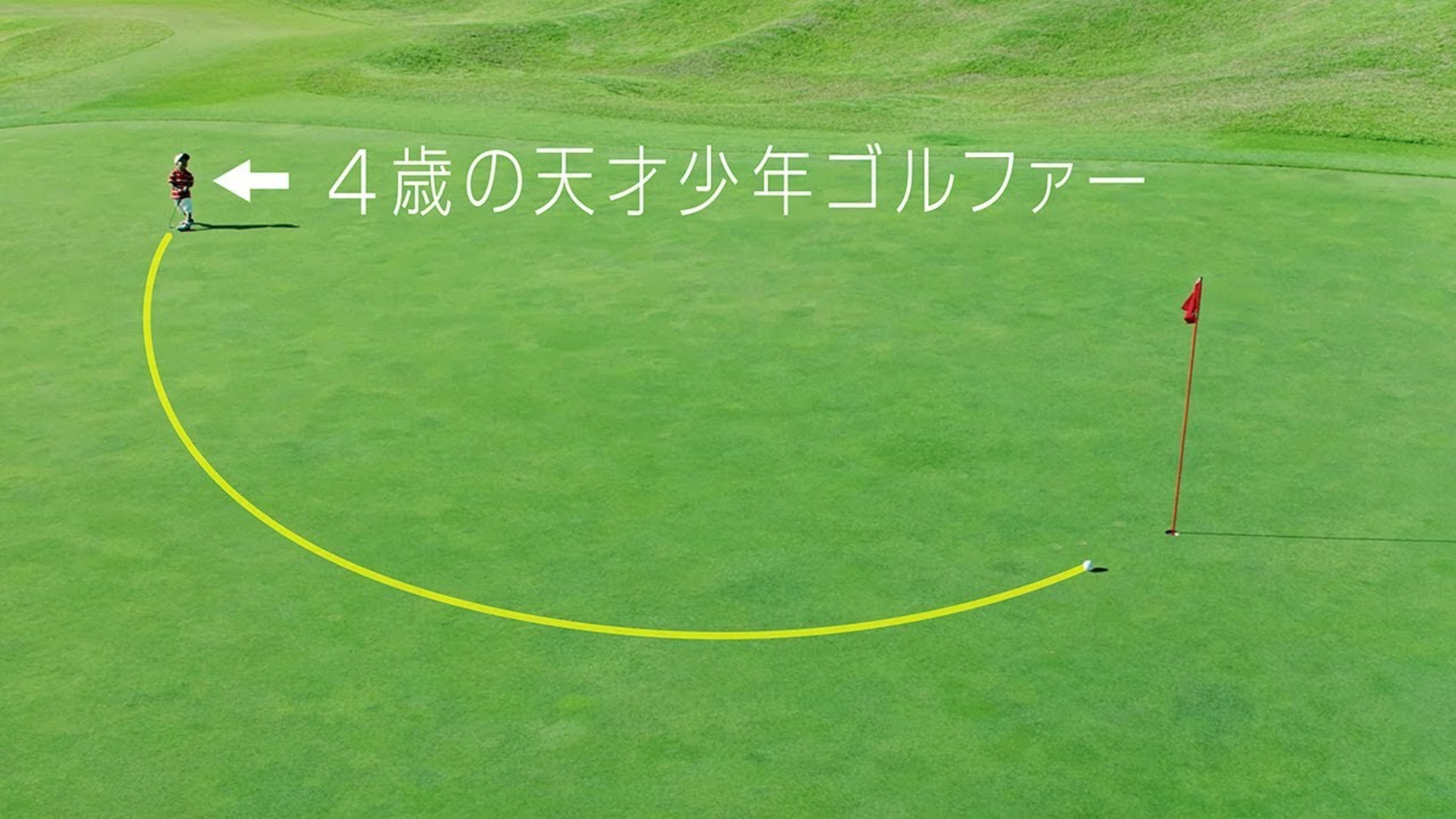 Nissan Pro Pilot Golf Ball